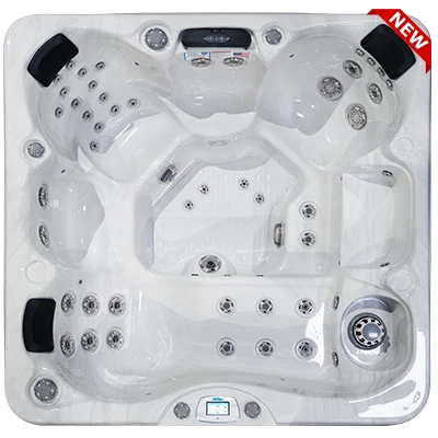Avalon-X EC-849LX hot tubs for sale in Weston